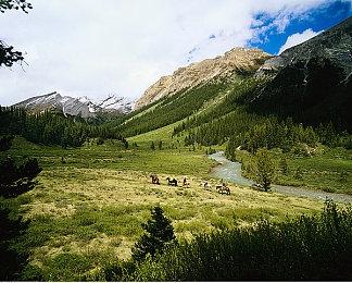 Steam一周销量榜 《喋血复仇》登顶